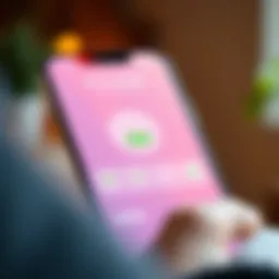 User interface of a popular money saving app