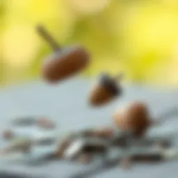 Visual representation of micro-investing concept