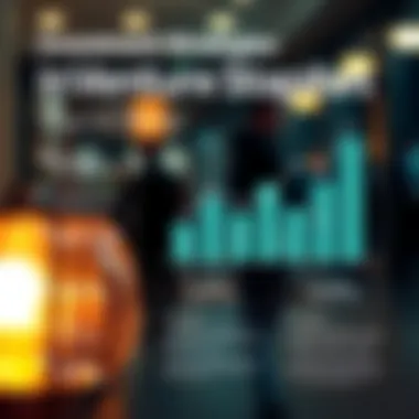 Infographic on investment strategies employed by VC firms