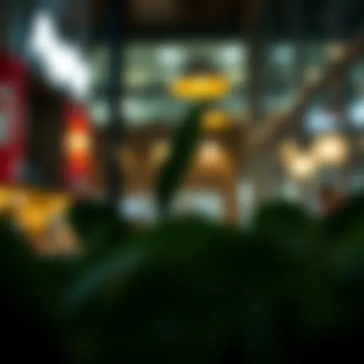 Overview of PayPal's installment payment options