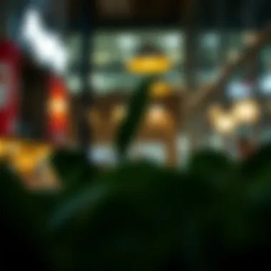 Comprehensive Overview of PayPal's Installment Payments Overview of PayPal's installment payment options