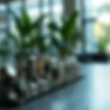 Visual representation of compound interest growth over time