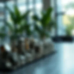 Visual representation of compound interest growth over time